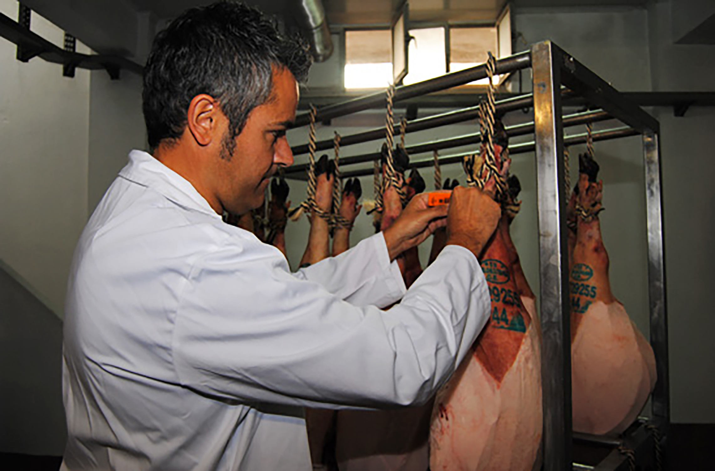 Professional Andares del Sur